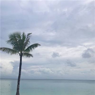 无尽晚霞不见君测试版下载